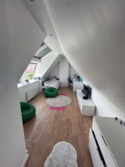 Réalisation De Souza Combles