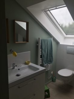 Réalisation De Souza Combles - Salle de bains