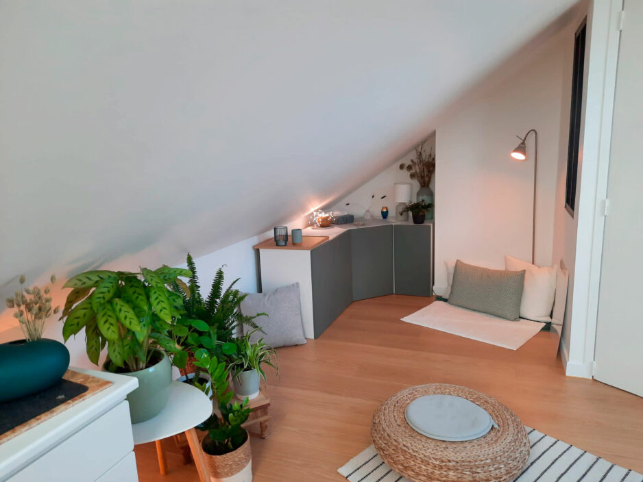 Réalisation De Souza Combles - Chambre et Bureau