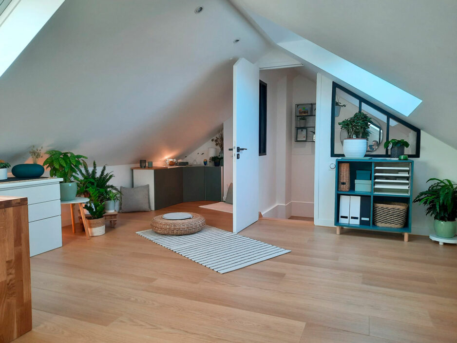 Réalisation De Souza Combles - Chambre