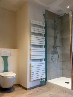 Réalisation De Souza Combles - Salle de bains