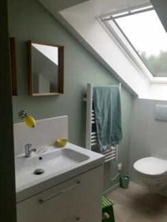 Réalisation De Souza Combles - Salle de bains