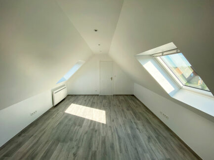 Réalisation De Souza Combles - Combles aménagés